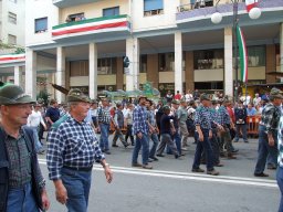 2007
